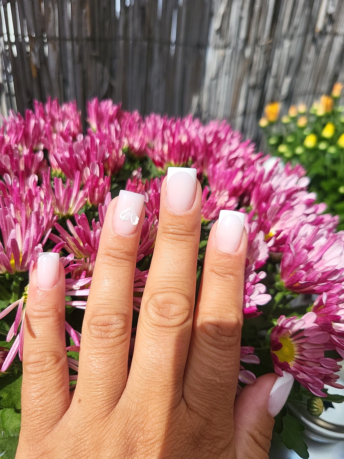 Alina Ceres Nailacademy – Kreatives Design